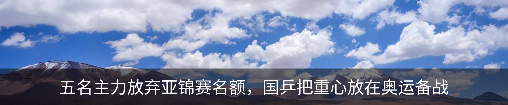资讯动态