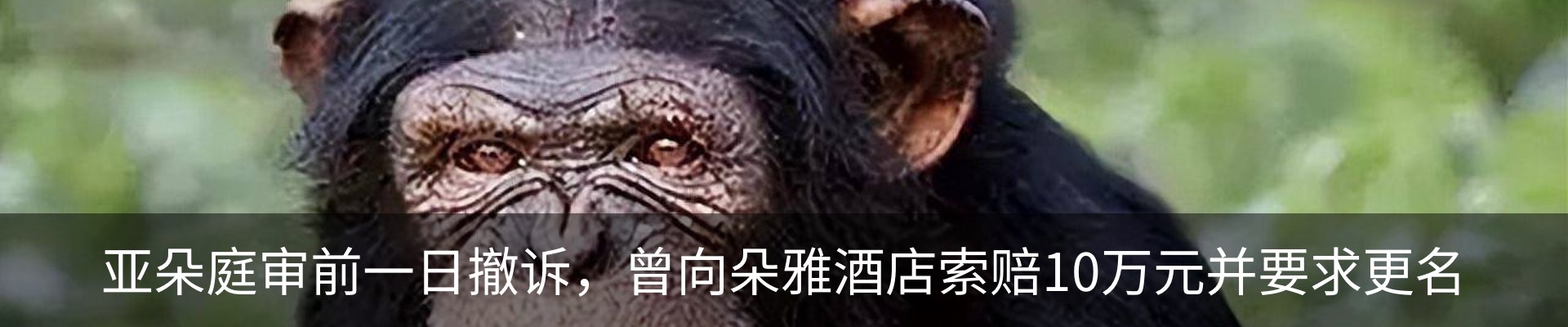 资讯动态