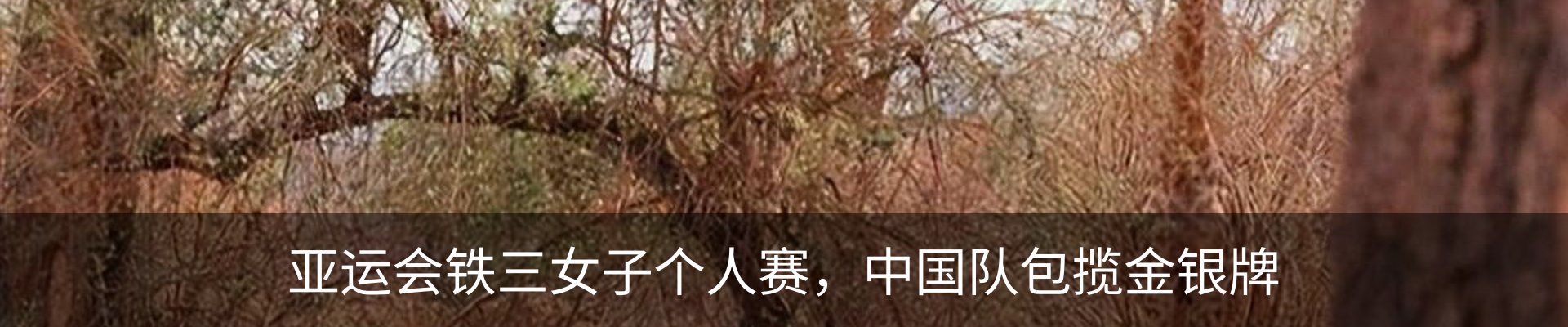 资讯动态