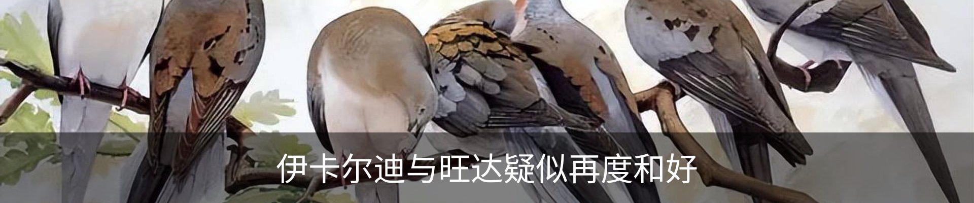 资讯动态