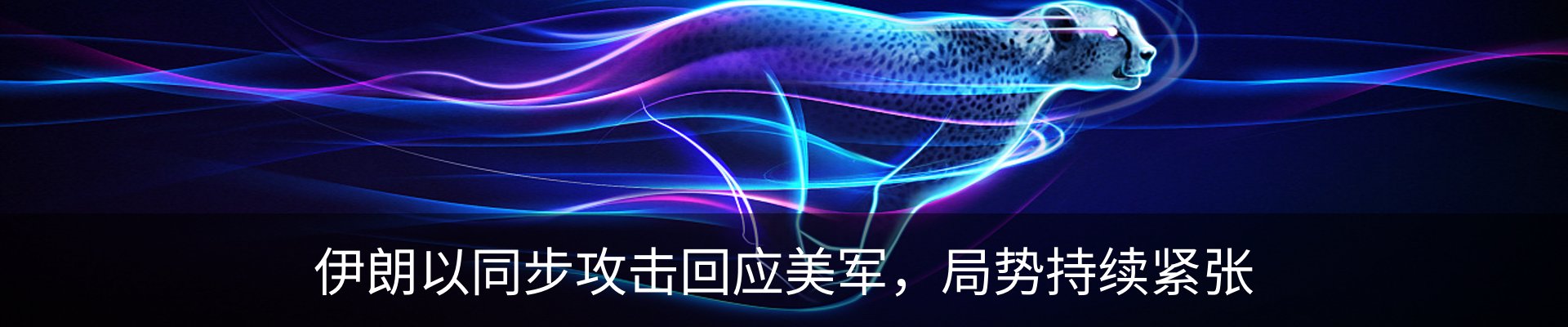资讯动态