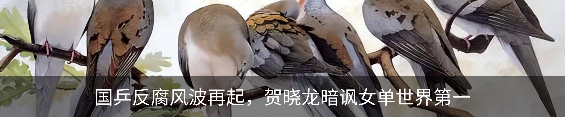 资讯动态