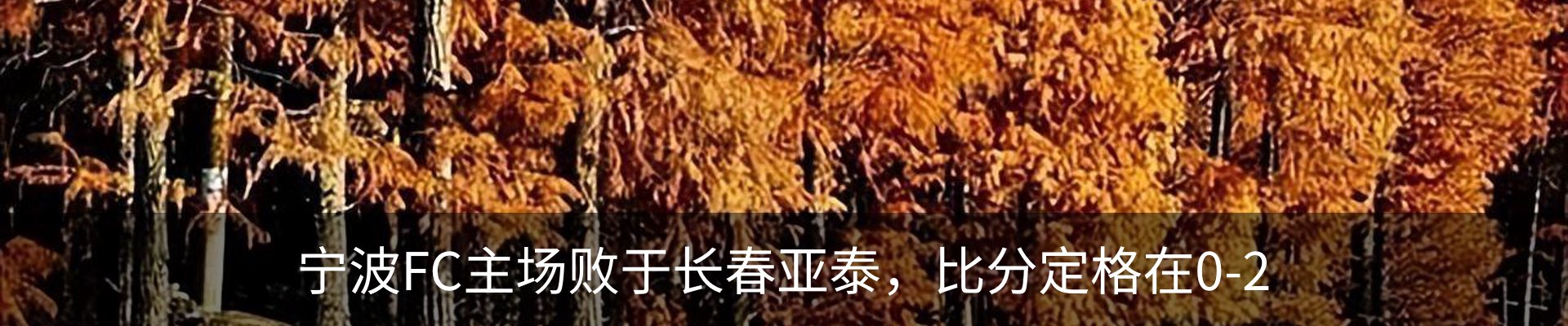 资讯动态