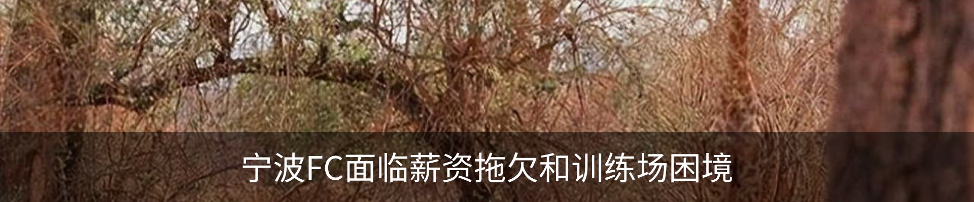 资讯动态