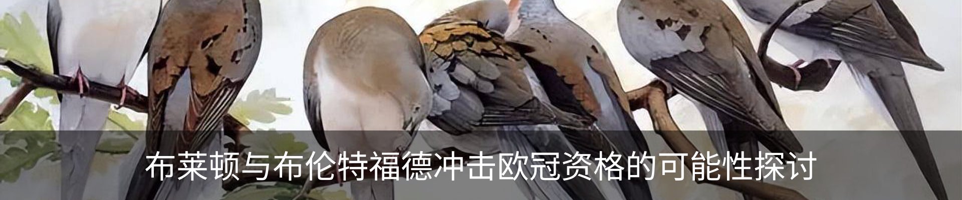 资讯动态