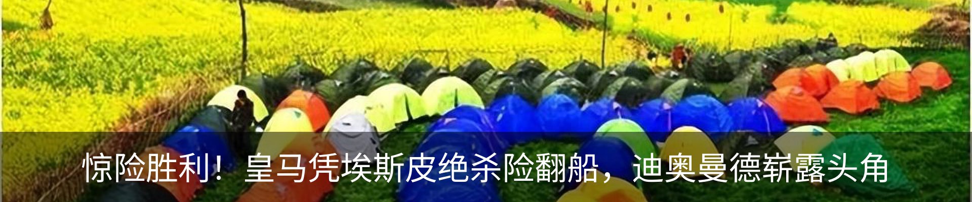 资讯动态