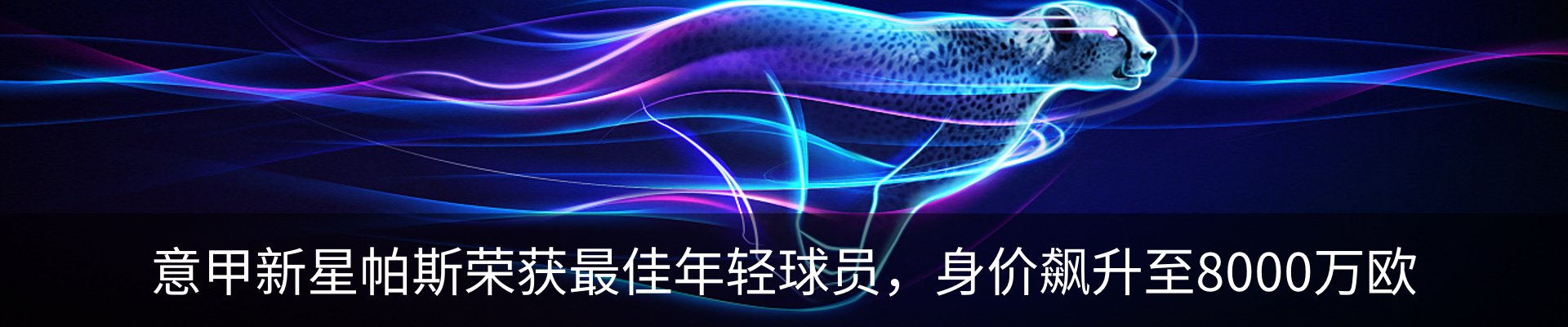资讯动态