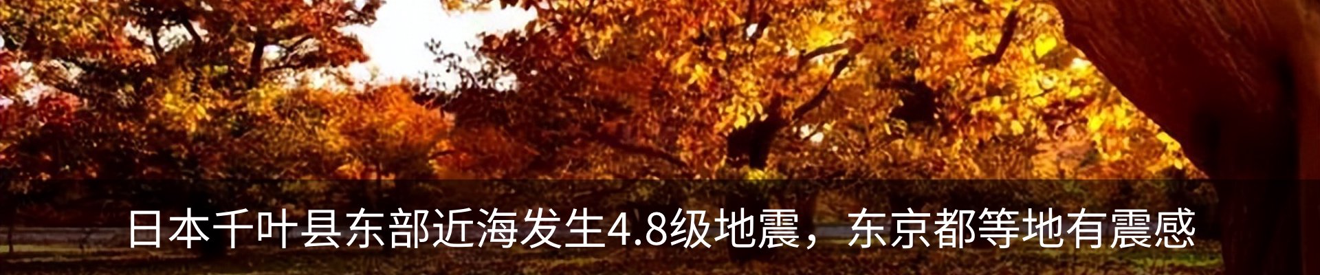 资讯动态