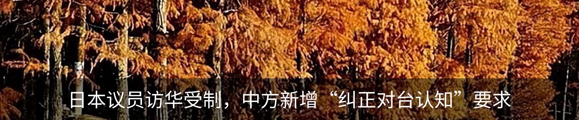 资讯动态