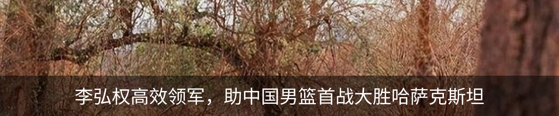 资讯动态