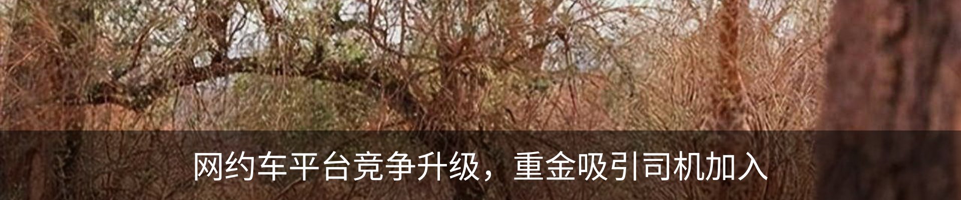 资讯动态