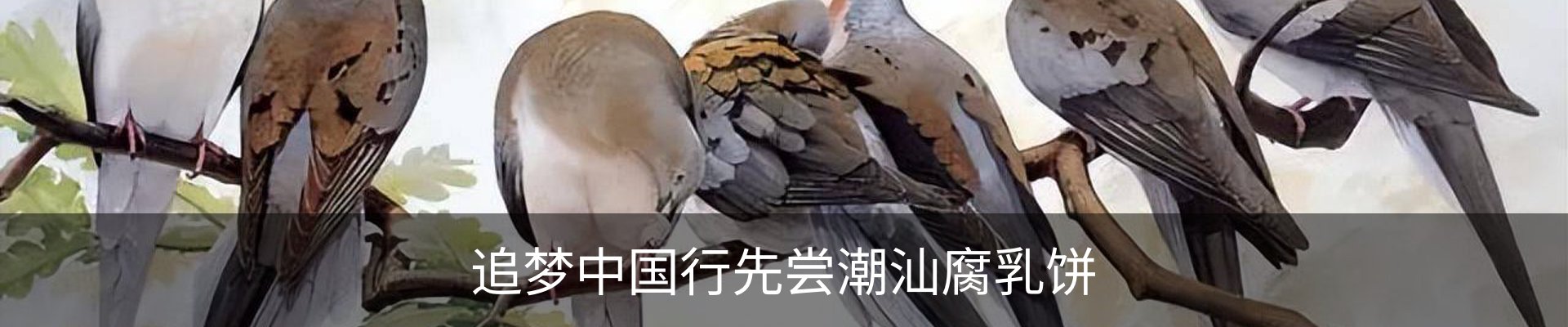 资讯动态