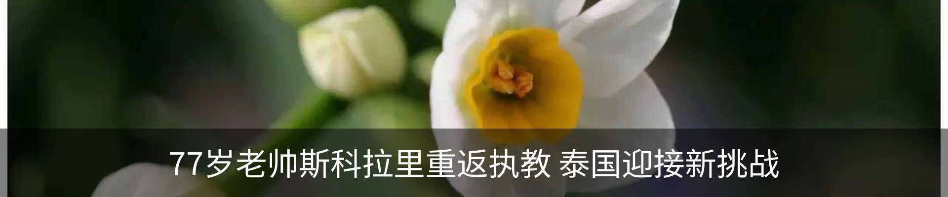 资讯动态
